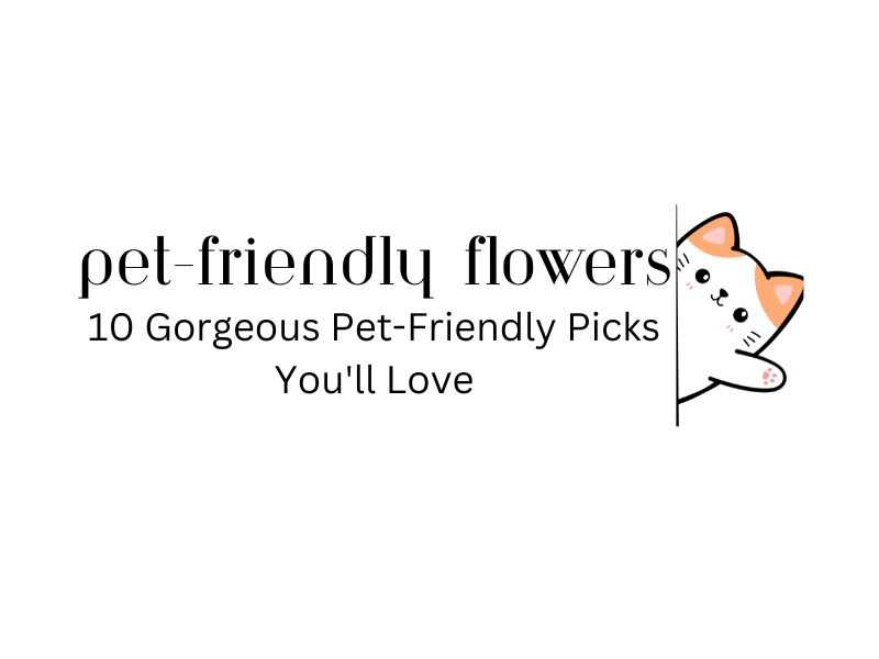 Collection of cat-safe flowers including roses, sunflowers, and orchids - What Flowers Are Safe for Cats? 10 Gorgeous Pet-Friendly Picks You'll Love